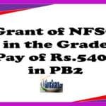 grant of nfsg
